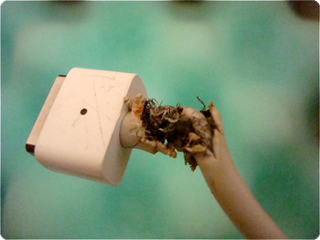 Illustration for article titled The Not-So-Safe Apple MagSafe Gallery